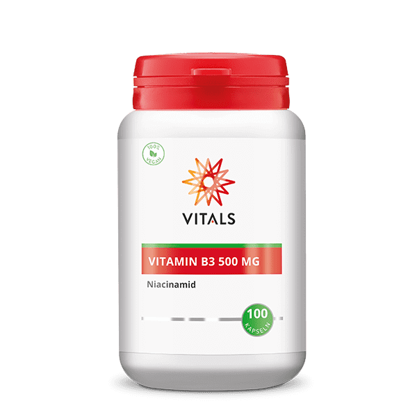 Vitamin B3 Niacinamid 500 mg, 100 Kapseln