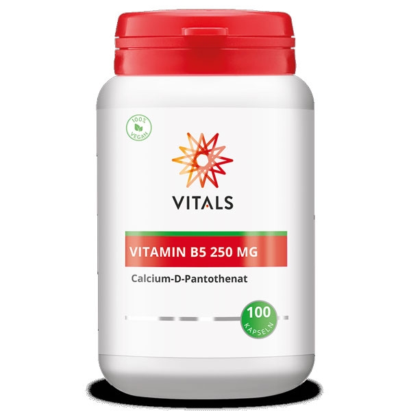 Vitamin B5 250 mg 100 Kapseln